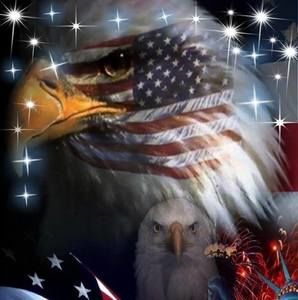 Meet your Posher, Shelly